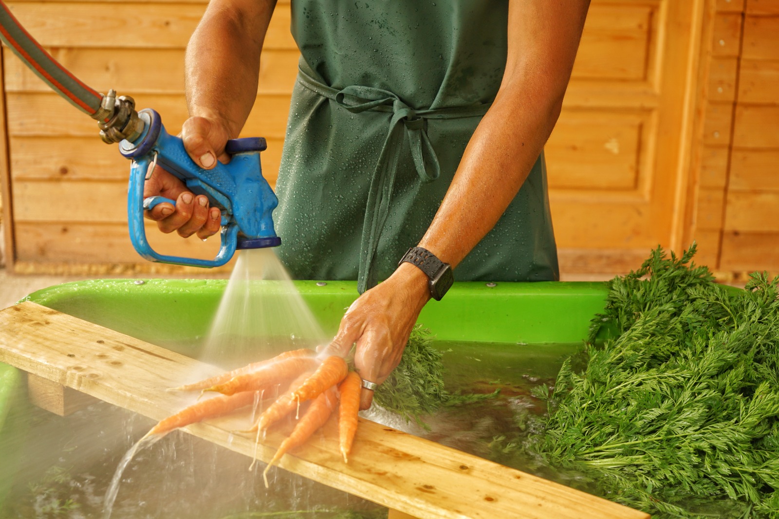 Karotten waschen, Handarbeit